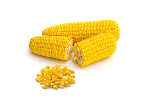 玉米需要放冰箱嗎 玉米怎么保存時間長一點 玉米需要放冰箱嗎 玉米怎么保存時間長一點