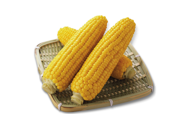 玉米需要放冰箱嗎 玉米怎么保存時間長一點 玉米需要放冰箱嗎 玉米怎么保存時間長一點