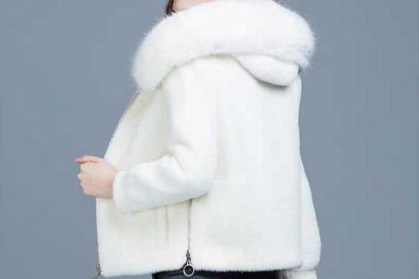 水貂絨有異味怎么去除 水貂絨有靜電嗎 水貂絨有異味怎么去除 水貂絨有靜電嗎