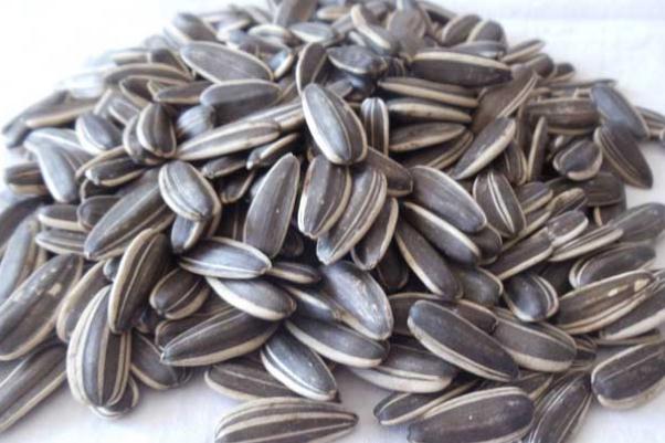 葵瓜子吃多了會長胖嗎 葵瓜子吃多了會致癌嗎 葵瓜子吃多了會長胖嗎 葵瓜子吃多了會致癌嗎