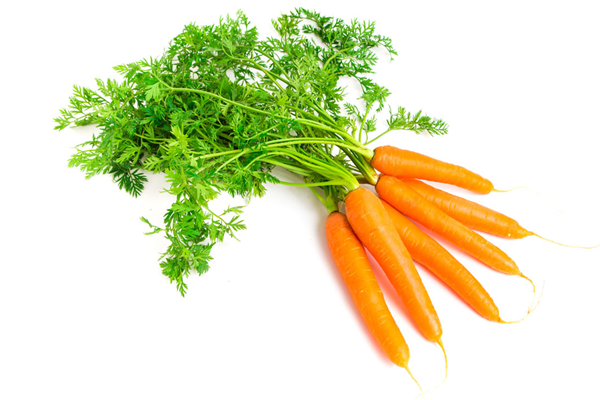 胡蘿卜是熱性還是涼性 胡蘿卜是根還是莖 胡蘿卜是熱性還是涼性 胡蘿卜是根還是莖