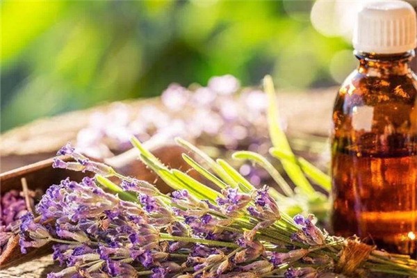 精油過期了但沒開封可以用嗎 精油過期了一個月還能用嗎 精油過期了但沒開封可以用嗎 精油過期了一個月還能用嗎