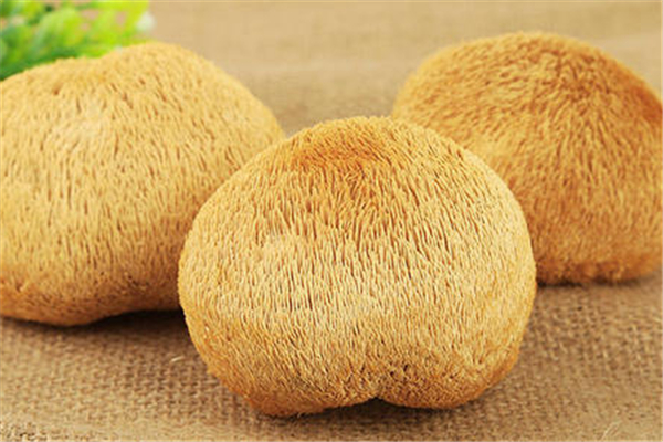 干猴頭菇用開(kāi)水泡可以嗎 干猴頭菇用什么水泡