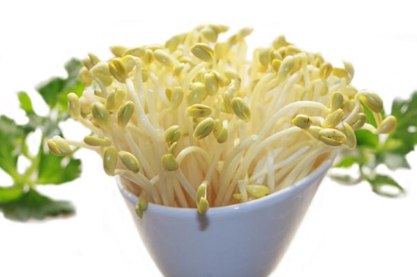 豆芽是什么季節(jié)的菜 豆芽是用什么豆發(fā)出來的 豆芽是什么季節(jié)的菜 豆芽是用什么豆發(fā)出來的