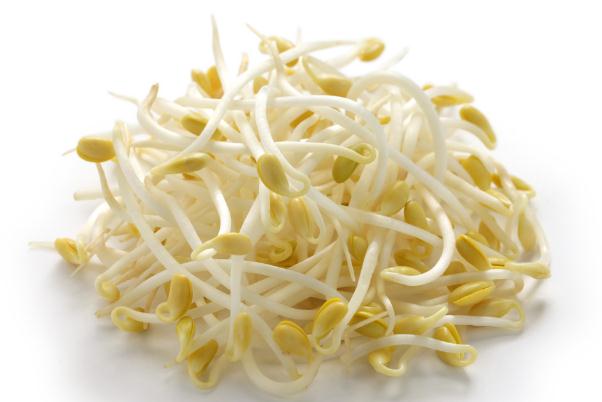 黃豆芽沒(méi)煮熟會(huì)中毒嗎 黃豆芽嘌呤高嗎 黃豆芽沒(méi)煮熟會(huì)中毒嗎 黃豆芽嘌呤高嗎