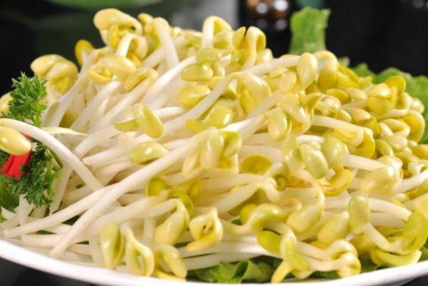 黃豆芽沒(méi)煮熟會(huì)中毒嗎 黃豆芽嘌呤高嗎 黃豆芽沒(méi)煮熟會(huì)中毒嗎 黃豆芽嘌呤高嗎
