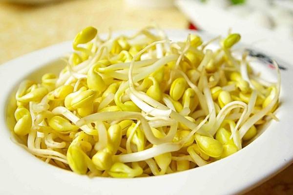 黃豆芽的功效與作用 黃豆芽怎么做好吃 黃豆芽的功效與作用 黃豆芽怎么做好吃