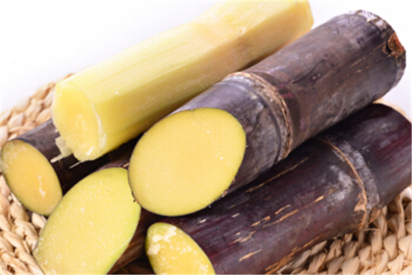 甘蔗不削皮能放幾天 甘蔗怎么儲存比較好 甘蔗不削皮能放幾天 甘蔗怎么儲存比較好