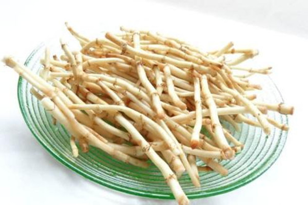 魚腥草為什么有腥味 魚腥草怎么去腥味