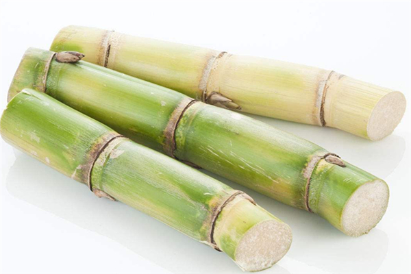 甘蔗上火還是下火 甘蔗吃多了上火嗎 甘蔗上火還是下火 甘蔗吃多了上火嗎