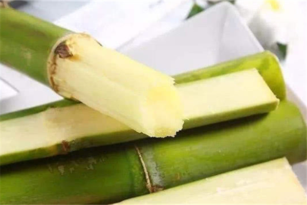 甘蔗上火還是下火 甘蔗吃多了上火嗎 甘蔗上火還是下火 甘蔗吃多了上火嗎