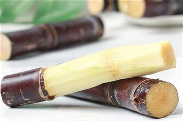 甘蔗不甜是什么原因 甘蔗不甜怎么處理 甘蔗不甜是什么原因 甘蔗不甜怎么處理