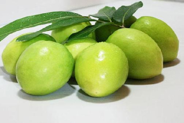 青棗怎么挑選好吃 青棗怎么保存時間長 青棗怎么挑選好吃 青棗怎么保存時間長