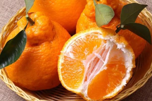 耙耙柑有點苦能吃嗎 粑粑柑凍了是什么樣子 耙耙柑有點苦能吃嗎 粑粑柑凍了是什么樣子