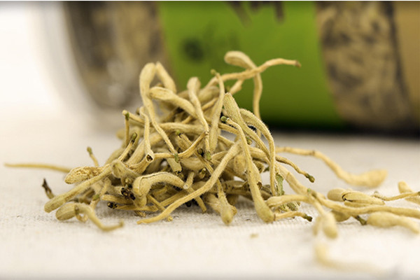 金銀花泡水喝會(huì)拉肚子嗎 金銀花泡水喝拉肚子怎么辦 金銀花泡水喝會(huì)拉肚子嗎 金銀花泡水喝拉肚子怎么辦