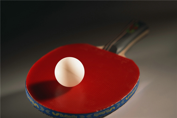 乒乓球世界杯是什么意思 樊振東獲世界杯冠軍7天內連奪兩冠