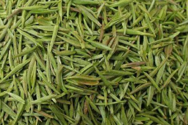 毛尖孕婦可以喝嗎 毛尖的毛毛能喝嗎 毛尖孕婦可以喝嗎 毛尖的毛毛能喝嗎