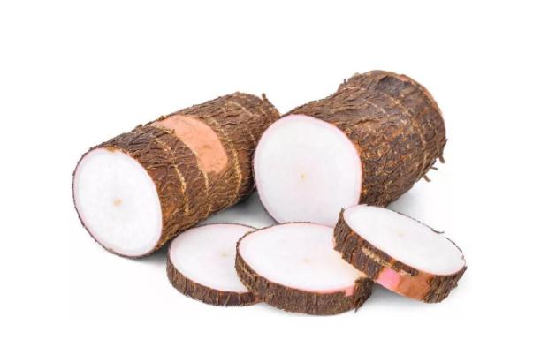 木薯是山藥嗎 木薯是發(fā)物嗎 木薯是山藥嗎 木薯是發(fā)物嗎