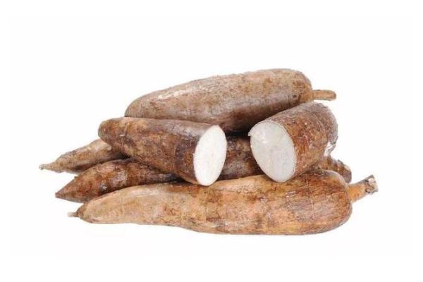 木薯是山藥嗎 木薯是發(fā)物嗎 木薯是山藥嗎 木薯是發(fā)物嗎