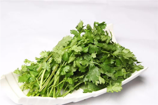 香菜會(huì)加速黑色素沉淀嗎 香菜會(huì)讓人變黑嗎 香菜會(huì)加速黑色素沉淀嗎 香菜會(huì)讓人變黑嗎