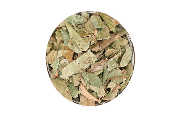 枇杷葉是否有毒 枇杷葉可以煮水喝嗎 枇杷葉是否有毒 枇杷葉可以煮水喝嗎