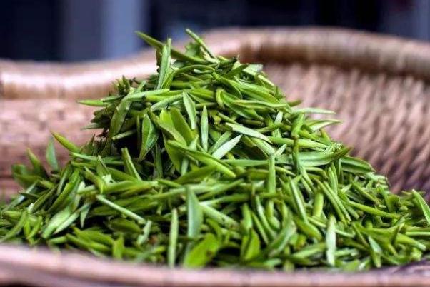 碧螺春可以天天喝嗎 碧螺春可以泡幾次 碧螺春可以天天喝嗎 碧螺春可以泡幾次