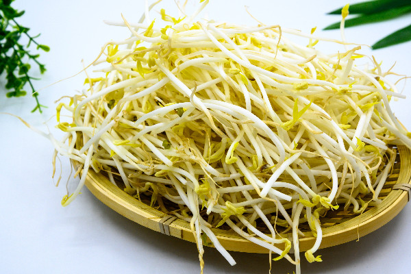 綠豆芽要焯水不 綠豆芽要摘掉根須嗎 綠豆芽要焯水不 綠豆芽要摘掉根須嗎