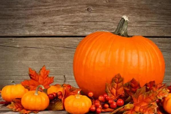 南瓜是什么季節(jié)成熟的 南瓜是主食嗎 南瓜是什么季節(jié)成熟的 南瓜是主食嗎