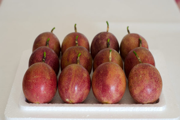 百香果怎樣沖水好喝 百香果泡水孕婦可以喝嗎 百香果怎樣沖水好喝 百香果泡水孕婦可以喝嗎