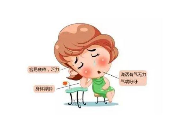 虛胖的人跑步可以減肥 虛胖是什么原因引起的 虛胖的人跑步可以減肥 虛胖是什么原因引起的