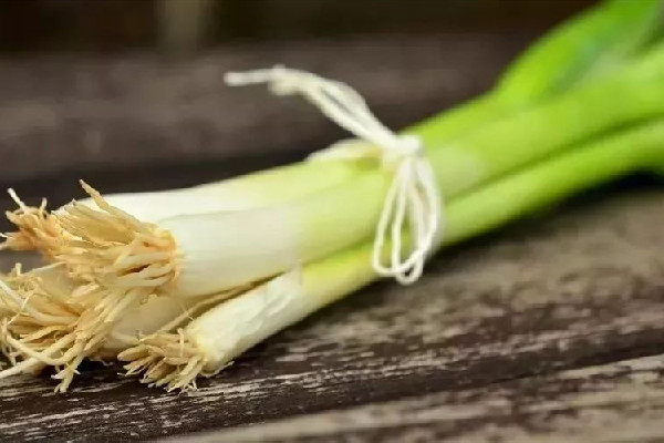 大蔥吃的是什么部位 大蔥葉子能吃嗎 大蔥吃的是什么部位 大蔥葉子能吃嗎