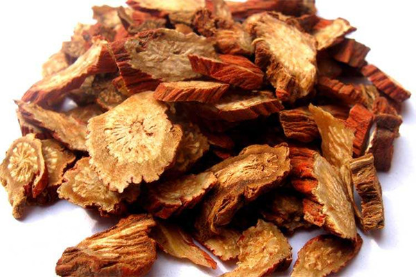 丹參哪些人不能吃 丹參哪里產(chǎn)的最好 丹參哪些人不能吃 丹參哪里產(chǎn)的最好