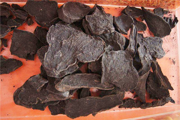 何首烏能治療脫發(fā)嗎 何首烏能治療白發(fā)嗎 何首烏能治療脫發(fā)嗎 何首烏能治療白發(fā)嗎