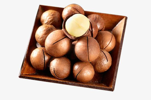 夏威夷果熱量高嗎 夏威夷果吃多少合適 夏威夷果熱量高嗎 夏威夷果吃多少合適