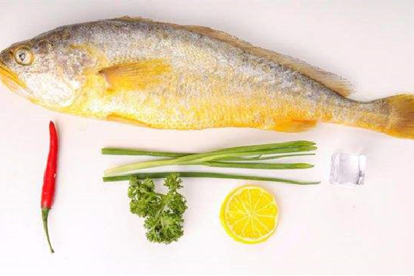黃花魚要去魚鱗嗎 黃花魚處理方法 黃花魚要去魚鱗嗎 黃花魚處理方法