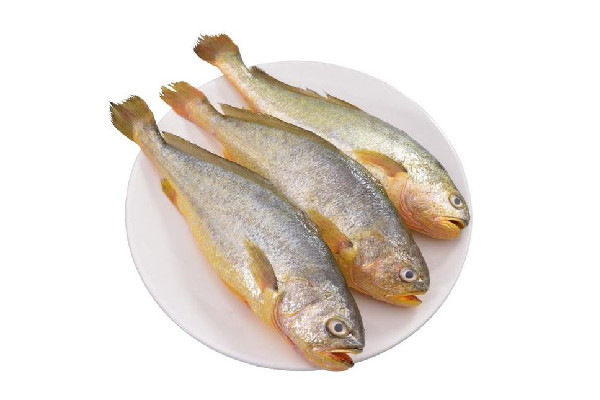 黃花魚要去魚鱗嗎 黃花魚處理方法 黃花魚要去魚鱗嗎 黃花魚處理方法