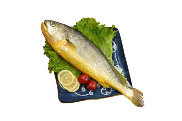 黃花魚的作用和功效 黃花魚可以燉湯嗎 黃花魚的作用和功效 黃花魚可以燉湯嗎