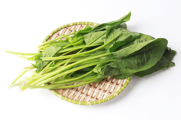 菠菜什么人不能吃 菠菜適合什么人吃 菠菜什么人不能吃 菠菜適合什么人吃