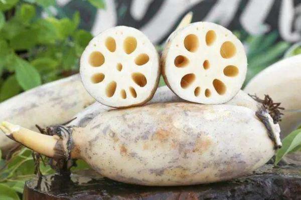 蓮藕會過敏嗎 吃藕會導致脹氣嗎 蓮藕會過敏嗎 吃藕會導致脹氣嗎