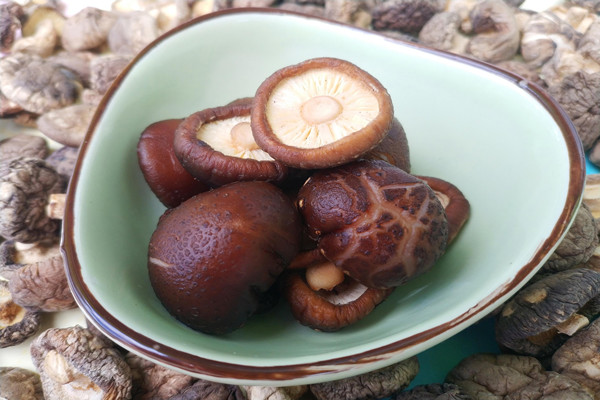 香菇會(huì)不會(huì)上火 香菇會(huì)不會(huì)過敏