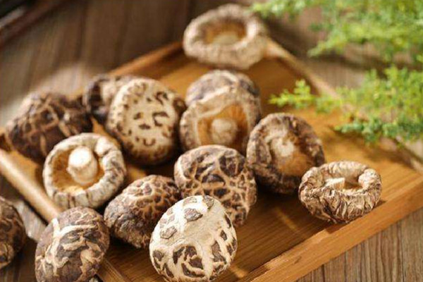 香菇孕婦可以吃嗎 香菇孕婦吃了有什么好處 香菇孕婦可以吃嗎 香菇孕婦吃了有什么好處