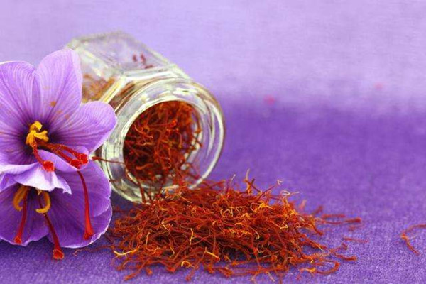 藏紅花泡水喝會(huì)上火嗎 藏紅花泡水喝會(huì)拉肚子嗎 藏紅花泡水喝會(huì)上火嗎 藏紅花泡水喝會(huì)拉肚子嗎