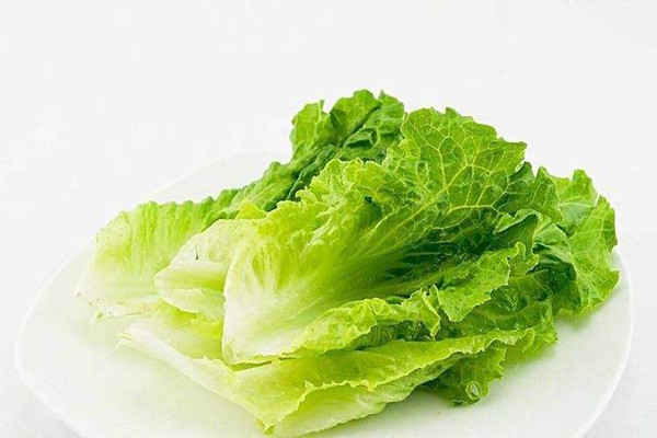 生菜是熱性的嗎 生菜是酸性還是堿性 生菜是熱性的嗎 生菜是酸性還是堿性