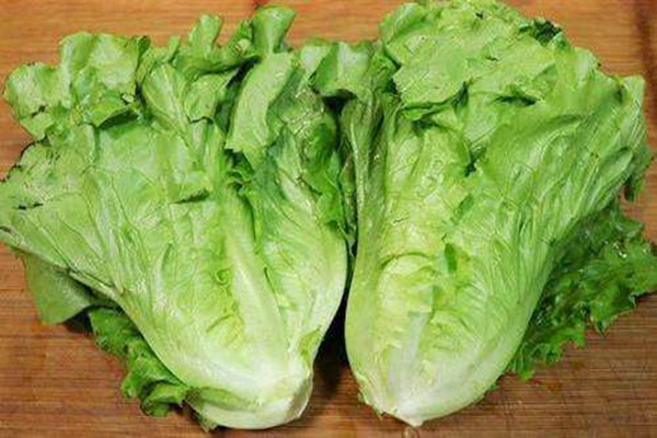 生菜是熱性的嗎 生菜是酸性還是堿性 生菜是熱性的嗎 生菜是酸性還是堿性