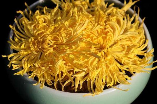 金絲皇菊是去火的嗎 喝金絲皇菊對眼睛有好處嗎 金絲皇菊是去火的嗎 喝金絲皇菊對眼睛有好處嗎