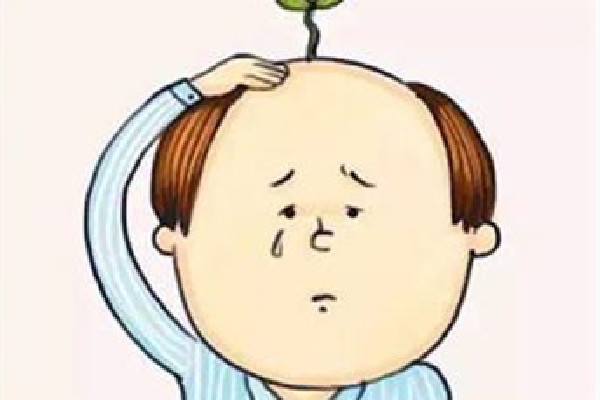 種植發(fā)際線有危險(xiǎn)嗎 種植發(fā)際線會(huì)掉嗎 種植發(fā)際線有危險(xiǎn)嗎 種植發(fā)際線會(huì)掉嗎