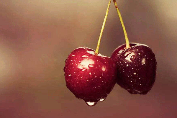 櫻桃需要用鹽水泡嗎 櫻桃用鹽水泡多長(zhǎng)時(shí)間