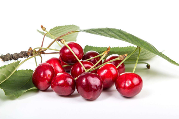 櫻桃能用來(lái)泡酒嗎 櫻桃泡酒有什么作用