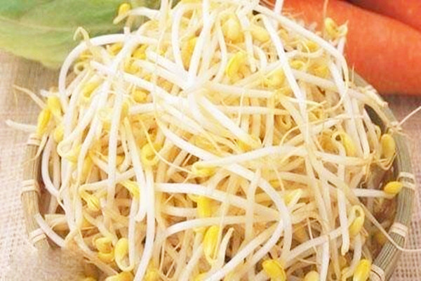 黃豆芽有什么營養(yǎng)價(jià)值 黃豆芽會中毒嗎