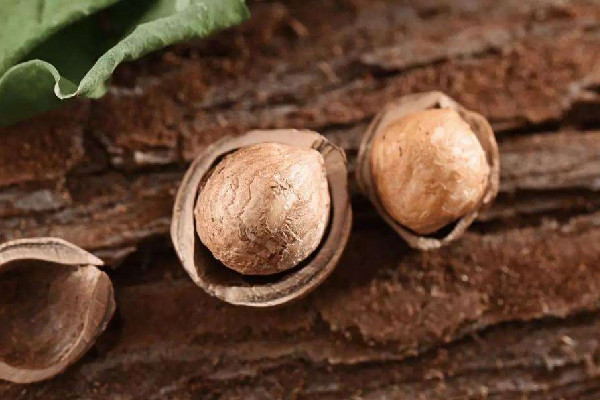 榛子殼怎樣打開(kāi) 榛子剝不開(kāi)怎么辦